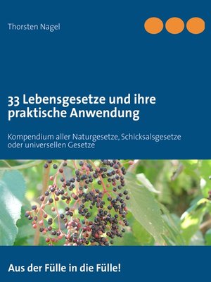 cover image of 33 Lebensgesetze und ihre praktische Anwendung